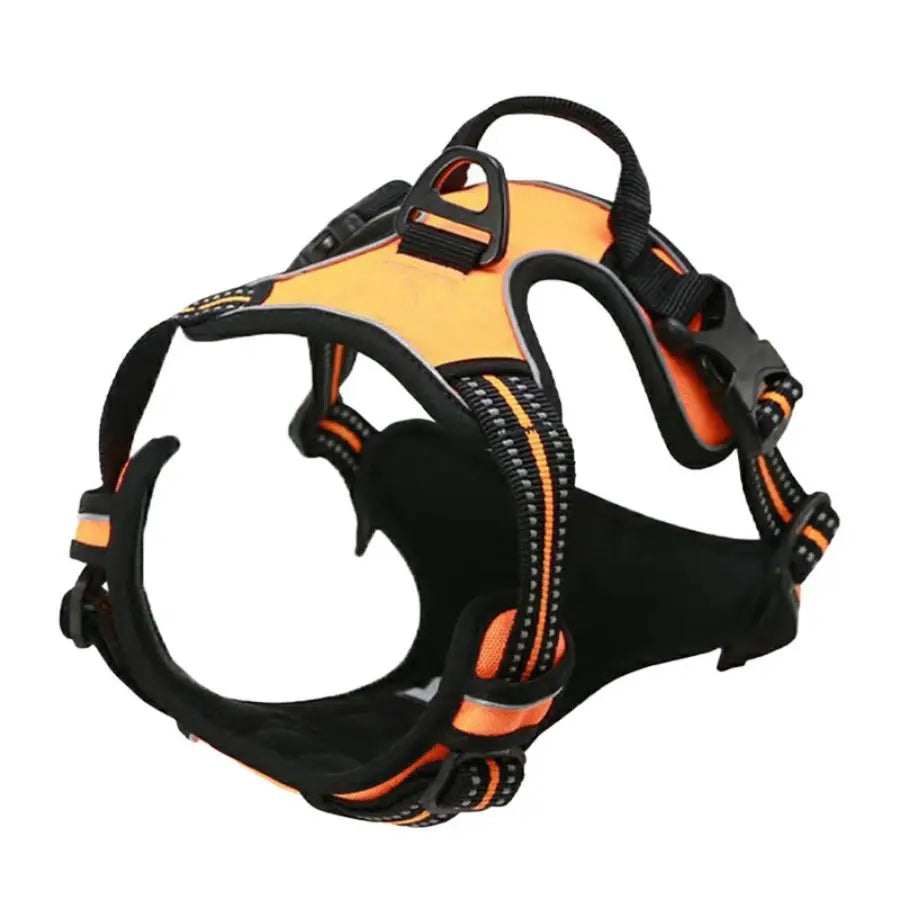 ancra-harnais-orange