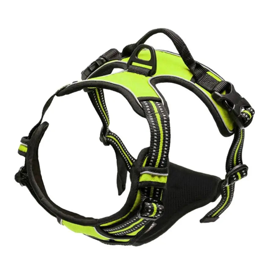 ancra-harnais-vert-fluo