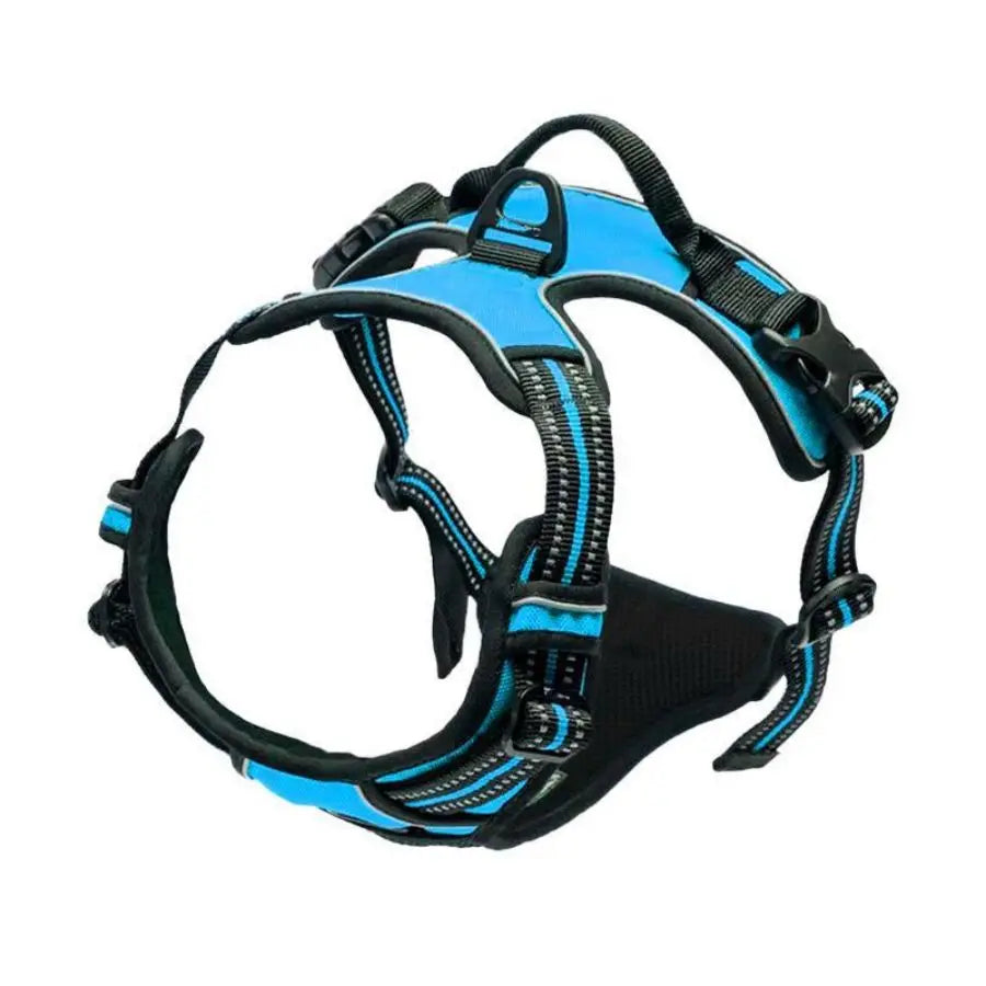 Harnais anti-traction Ancrava bleu