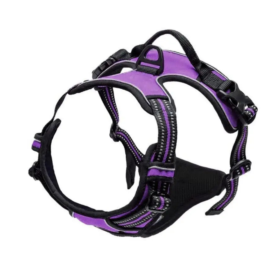 Harnais anti-traction Ancrava violet