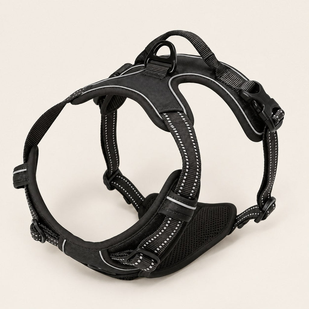 Harnais anti-traction Ancrava noir, vue de trois quarts