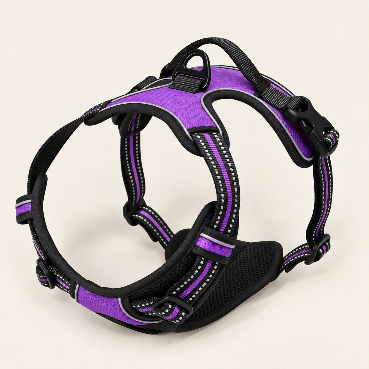 Harnais anti-traction Ancrava violet